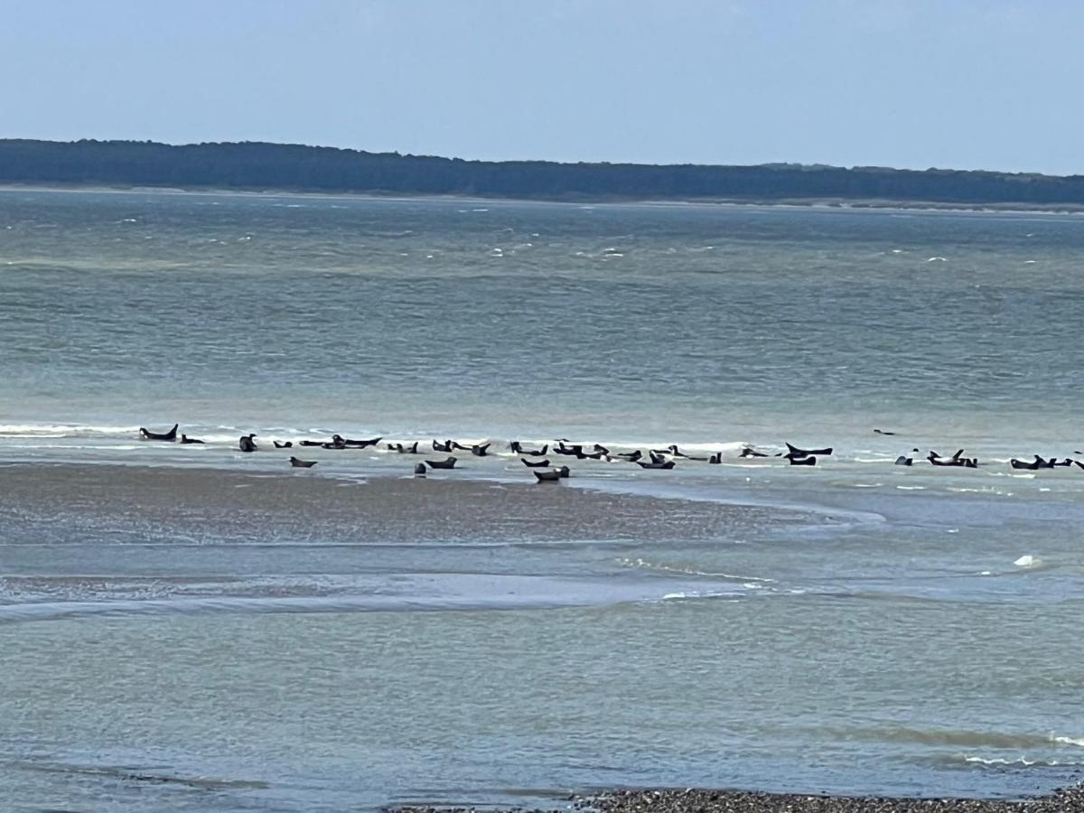 Plage A 50M Appartement Reves Tranquilles Villa Les Bains De Mers Luaran gambar
